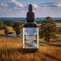 Alabama Detox Blend