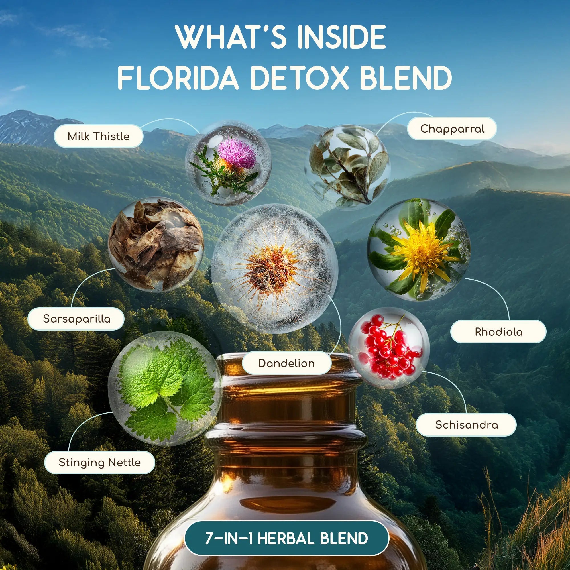 Florida Detox Blend